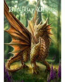 Friendly Dragon