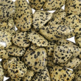 Βότσαλο Ίασπις Δαλματίας – Dalmation Jasper 2-3cm